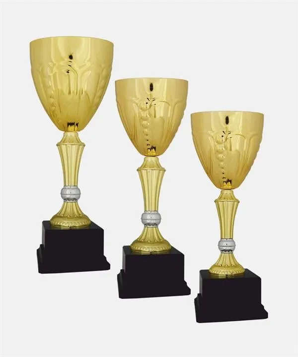 Bayspor H23 Büyük Kupa Takımı 3 lü Set
