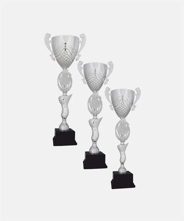 Bayspor H61 Büyük Kupa Takımı 3 lü Set