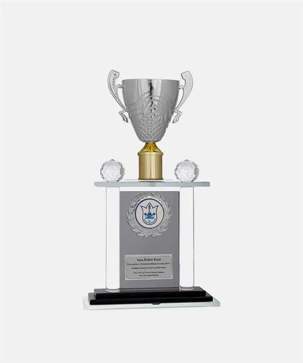Bayspor M223 Kristal Plaket 40 cm