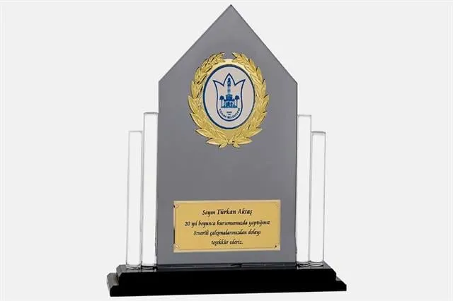 Bayspor M123 Kristal Plaket 23 cm