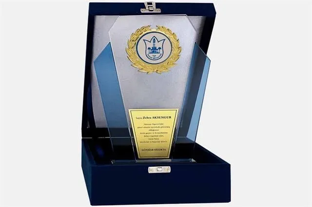 Bayspor M36 Kadife Kutulu Kristal Plaket 27 cm