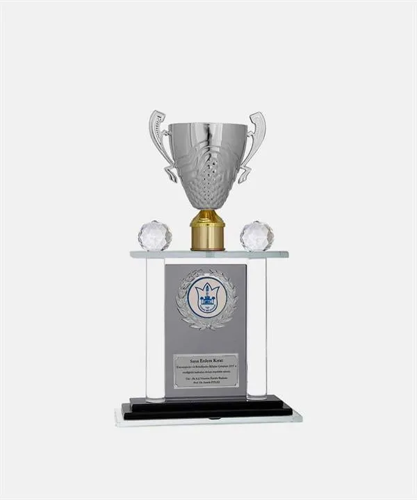 Bayspor M224 Kristal Plaket 38 cm