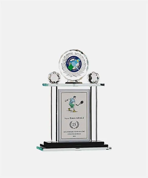 Bayspor M229 Kristal Plaket 31 cm