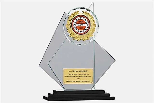 Bayspor M17 Kristal Plaket 24 cm