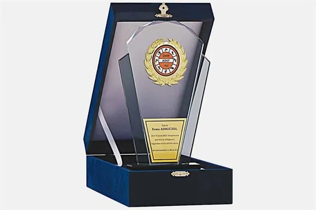 Bayspor M136 Kadife Kutulu Kristal Plaket 26 cm