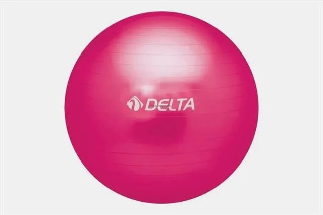 Delta Plates Topu 65 Cm Fuşya Ptf 963