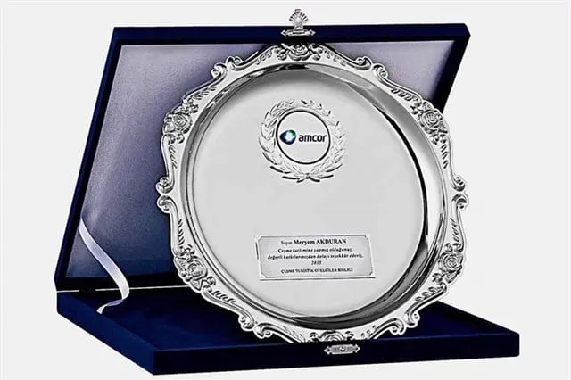 Bayspor M1 30cm Gümüş Tabaklı Plaket