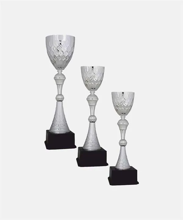 Bayspor C76 Elit Kupa Takımı 3 lü Set