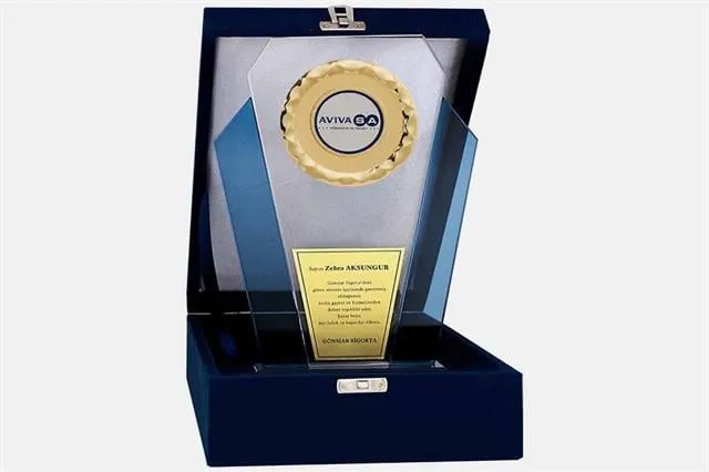 Bayspor M40 Kadife Kutulu Kristal Plaket 27 cm