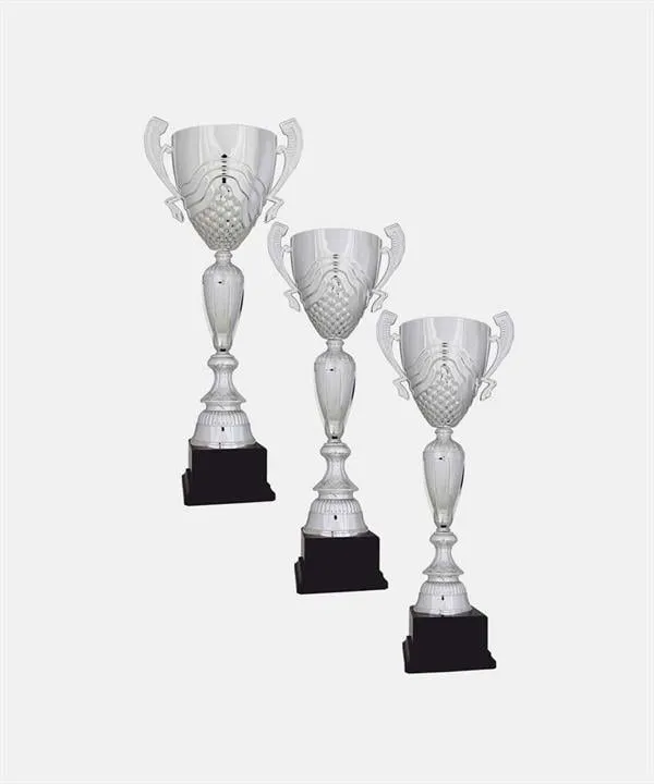 Bayspor R34 Büyük Kupa Takımı 3 lü Set