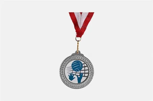 Bayspor D4-B  Gümüş 5,5 cm Madalya