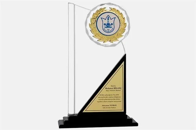 Bayspor M53 Kristal Plaket 28 cm