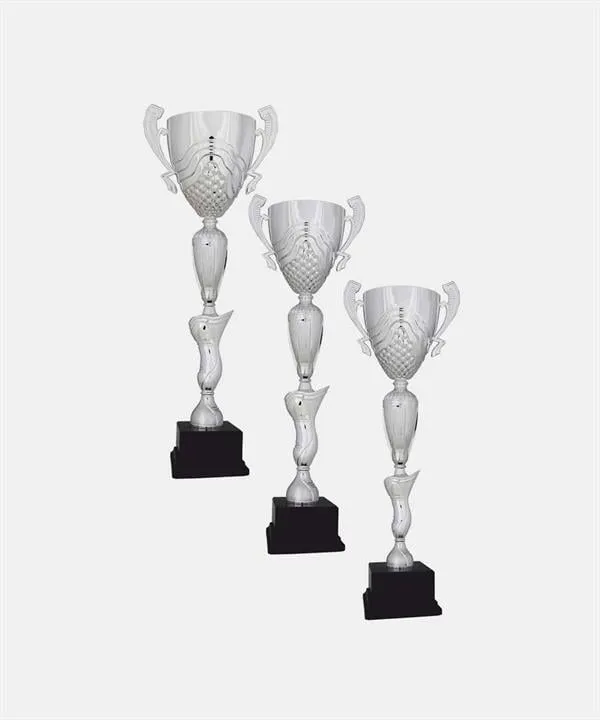 Bayspor H65 Büyük Kupa Takımı 3 lü Set