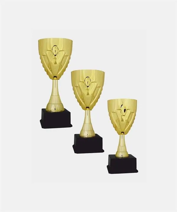 Bayspor C27 Elit Kupa Takımı 3 lü Set
