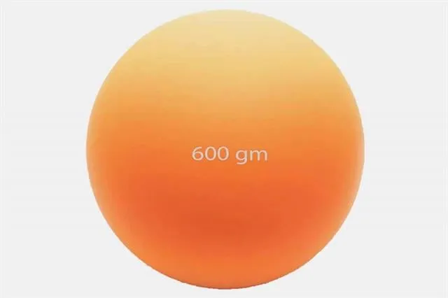Vinex Eğitim Güllesi 600 Gram