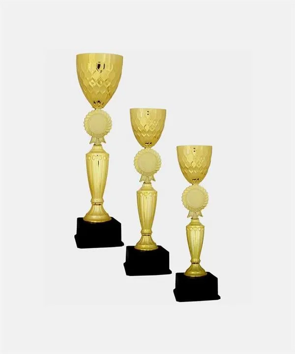 Bayspor C12 Elit Kupa Takımı 3 lü Set