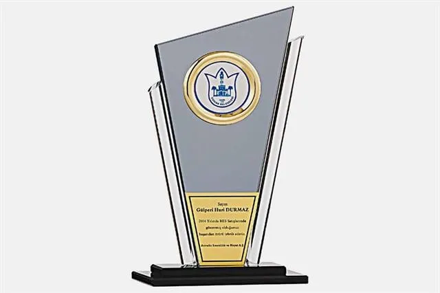 Bayspor M117 Kristal Plaket 27 cm