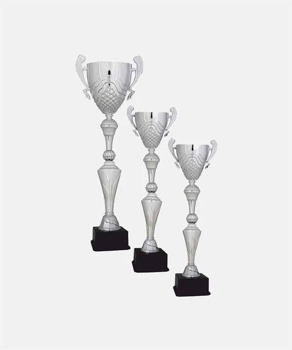 Bayspor C77 Elit Kupa Takımı 3 lü Set