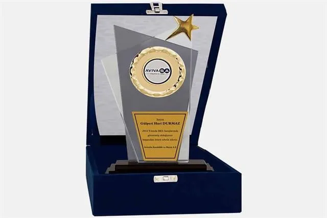 Bayspor M12 Kadife Kutulu Kristal Plaket 27 cm