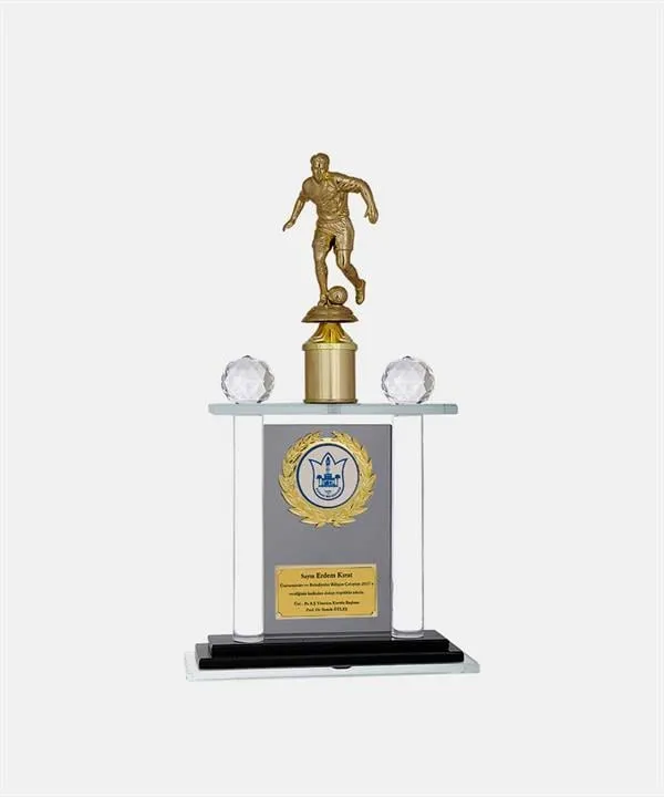 Bayspor M226 Kristal Plaket 40 cm