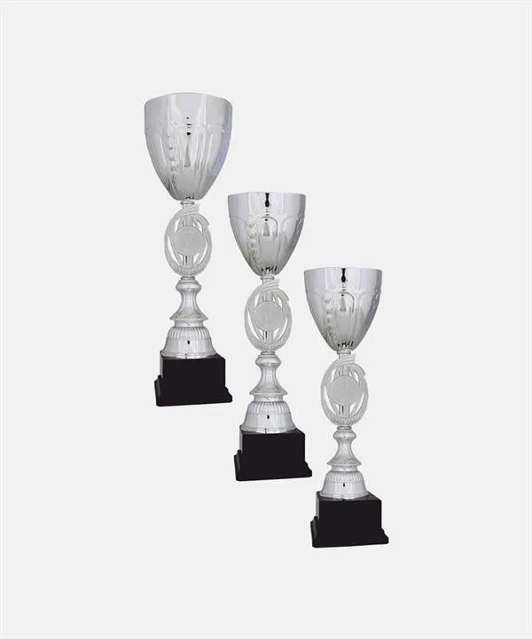 Bayspor R30 Büyük Kupa Takımı 3 lü Set
