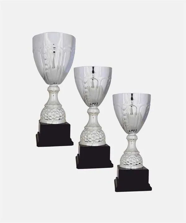 Bayspor R6 Büyük Kupa Takımı 3 lü Set