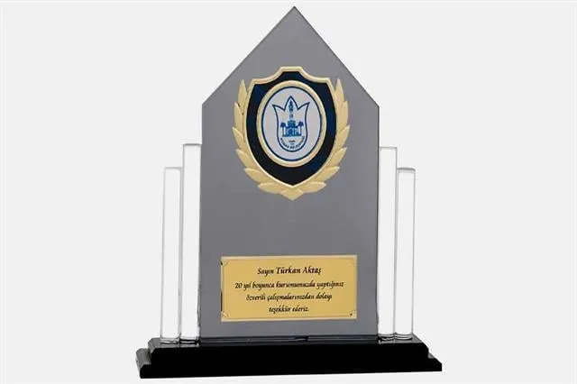 Bayspor M133 Kristal Plaket 23 cm