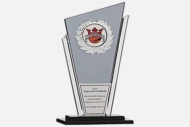 Bayspor M113 Kristal Plaket 27 cm