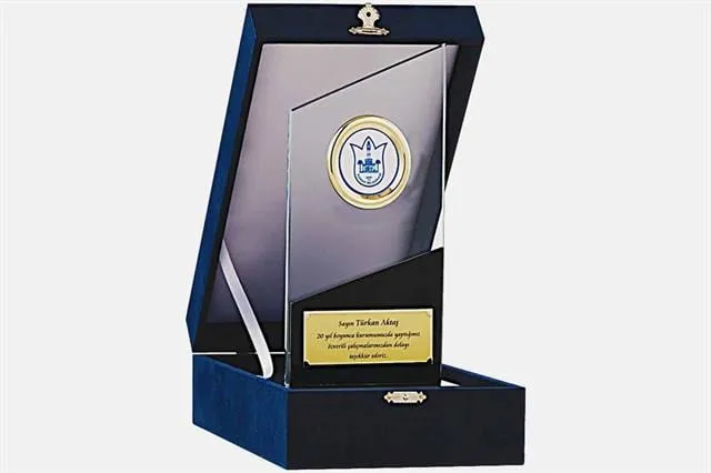 Bayspor M214 Kadife Kutulu Kristal Plaket 26 cm