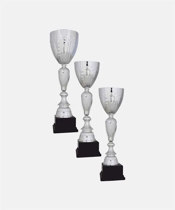 Bayspor R38 Büyük Kupa Takımı 3 lü Set