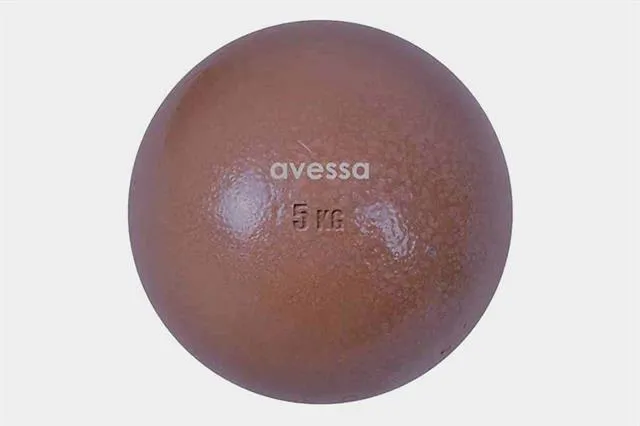 Avessa 5 Kg Döküm Gülle