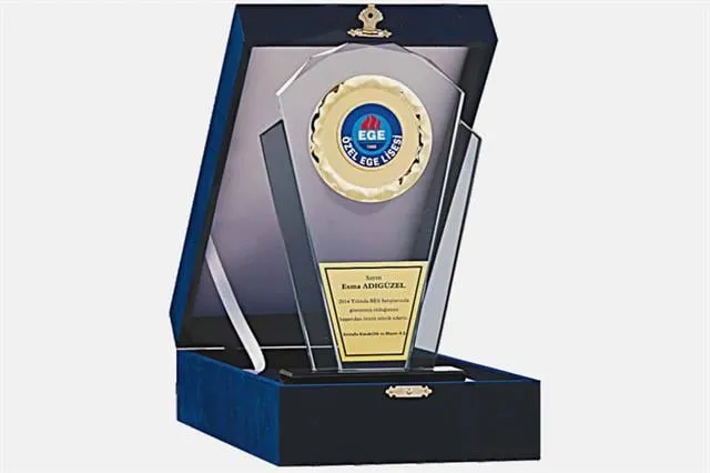 Bayspor M140 Kadife Kutulu Kristal Plaket 26 cm