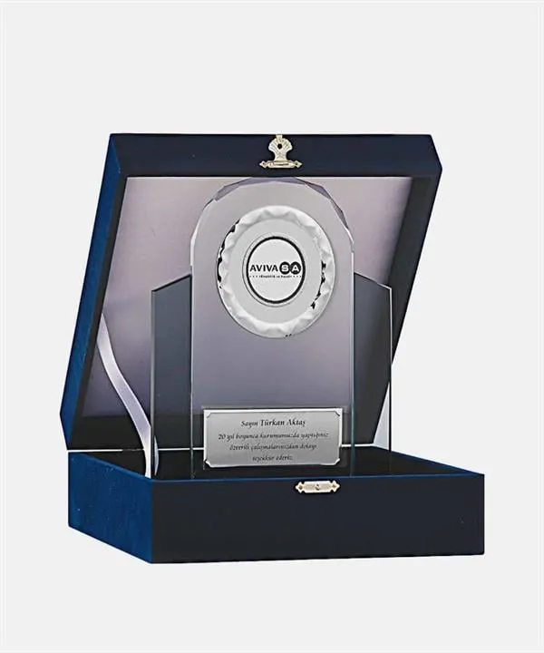 Bayspor M192 Kadife Kutulu Kristal Plaket 24 cm