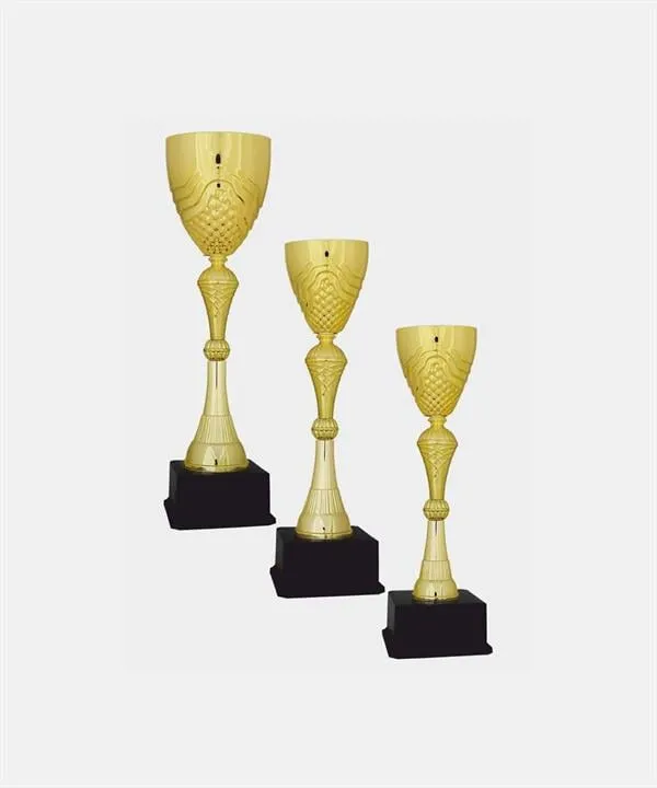 Bayspor C24 Elit Kupa Takımı 3 lü Set