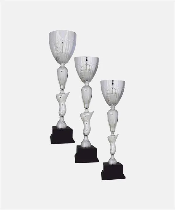 Bayspor H67 Büyük Kupa Takımı 3 lü Set