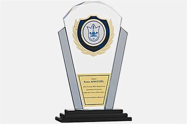 Bayspor M145 Kadife Kutulu Kristal Plaket 26 cm