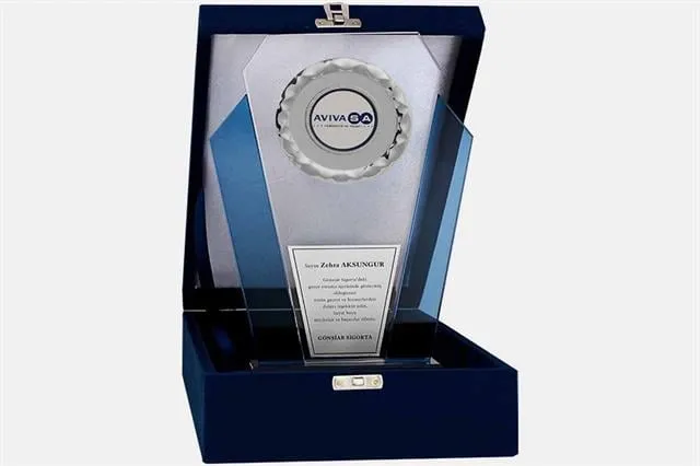 Bayspor M44 Kadife Kutulu Kristal Plaket 27 cm
