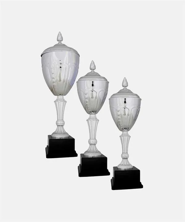 Bayspor H44 Büyük Kupa Takımı 3 lü Set