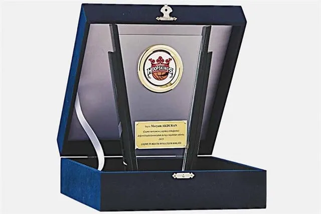 Bayspor M154 Kadife Kutulu Kristal Plaket 23 cm