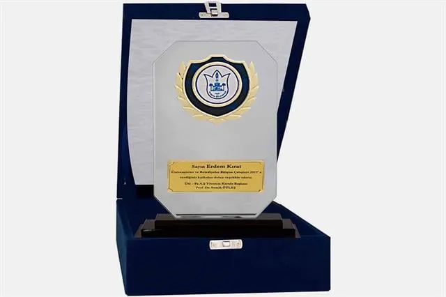 Bayspor M94 Kadife Kutulu Kristal Plaket 23 cm