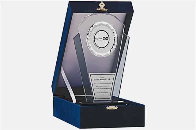 Bayspor M144 Kadife Kutulu Kristal Plaket 26 cm