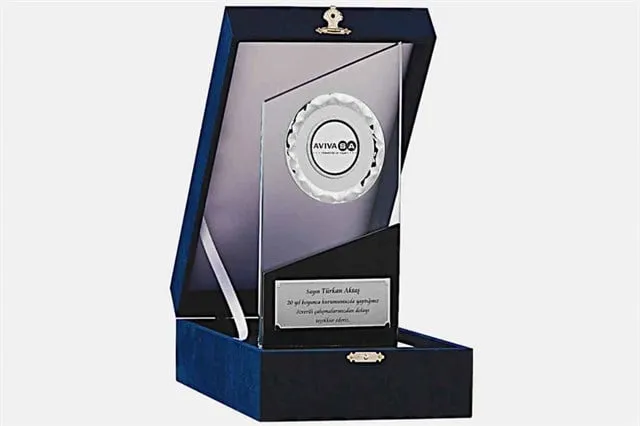 Bayspor M216 Kadife Kutulu Kristal Plaket 26 cm