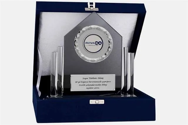 Bayspor M132 Kadife Kutulu Kristal Plaket 23 cm