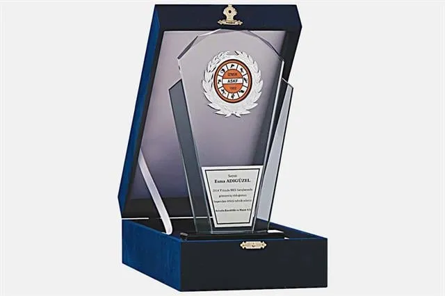 Bayspor M138 Kadife Kutulu Kristal Plaket 26 cm