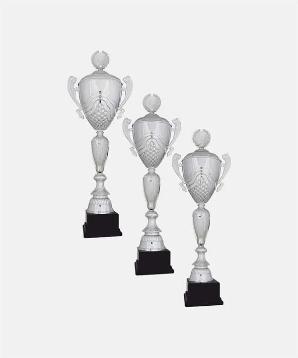 Bayspor R36 Büyük Kupa Takımı 3 lü Set