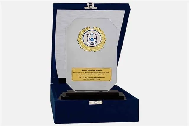 Bayspor M84 Kadife Kutulu Kristal Plaket 23 cm