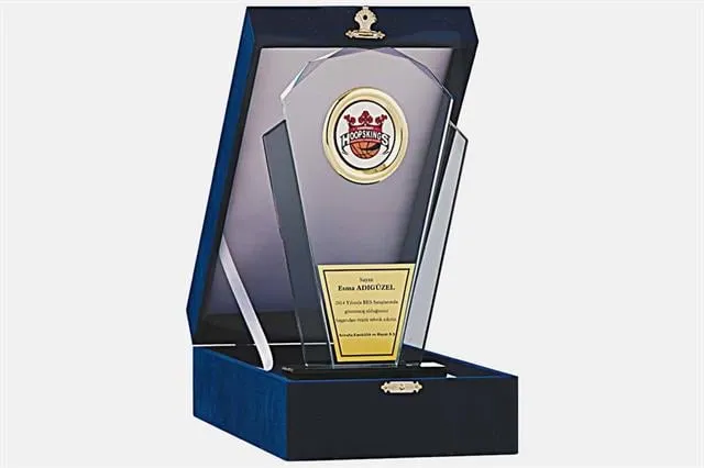 Bayspor M142 Kadife Kutulu Kristal Plaket 26 cm