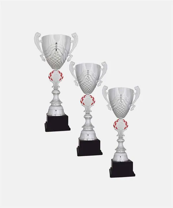 Bayspor H53 Büyük Kupa Takımı 3 lü Set