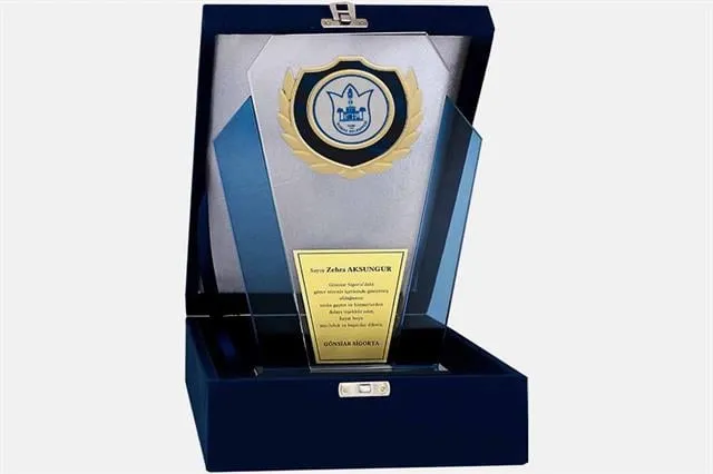 Bayspor M46 Kadife Kutulu Kristal Plaket 27 cm