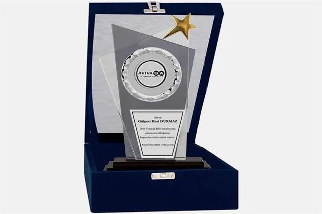 Bayspor M14 Kadife Kutulu Kristal Plaket 27 cm
